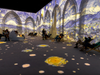A 360-degree, immersive digital art exhibit showcasing the work of legendary artist Vincent van Gogh is coming to Philly. See details here.