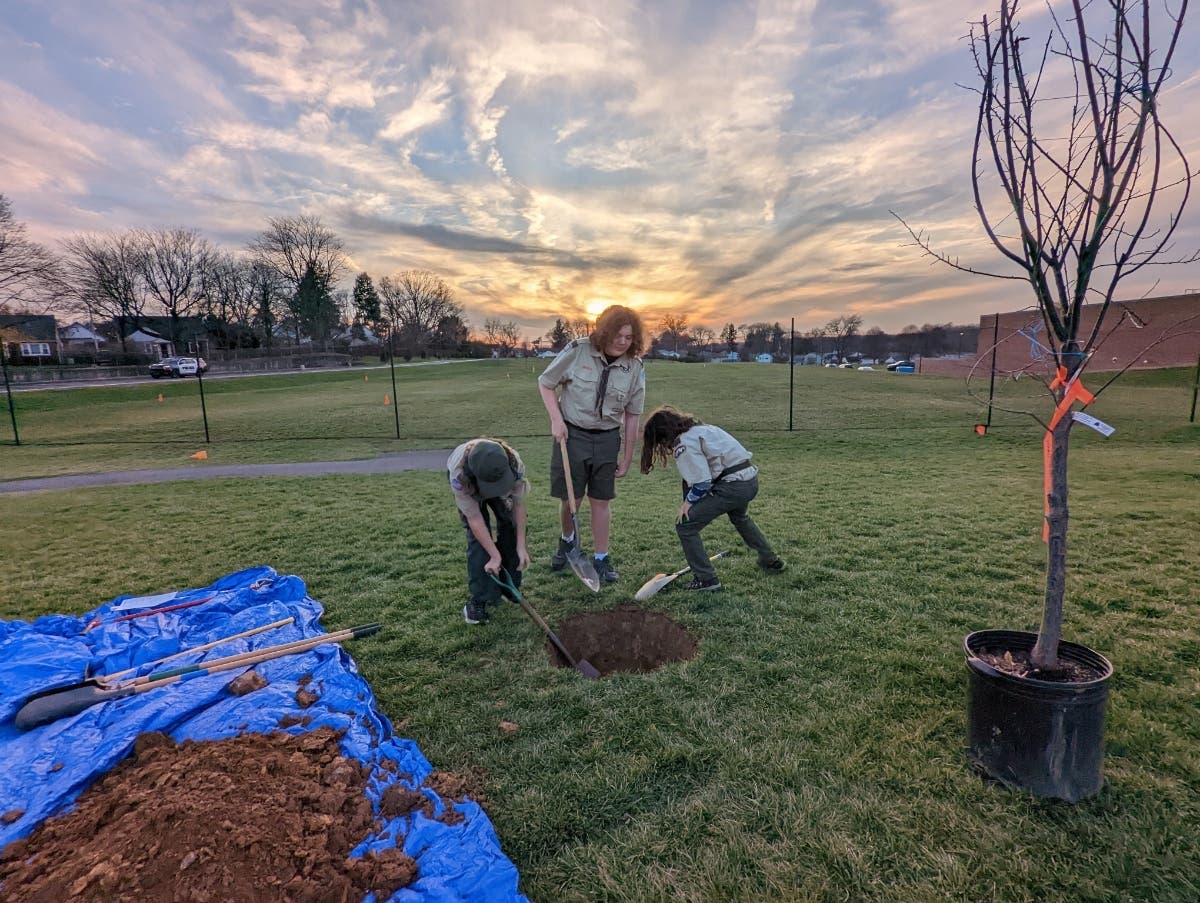 Scouts plant a tree in honor of their former member and friend Nicolas Elizalde, 14, who was killed in a Roxborough shooting in September.