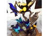 Six taxidermied birds were seized in Philadelphia recently, officials said.