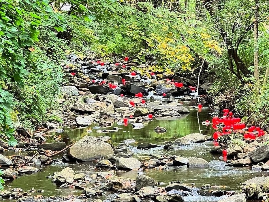 Numerous Red Balloons Found In Bryn Mawr Creek Radnor Police Bryn