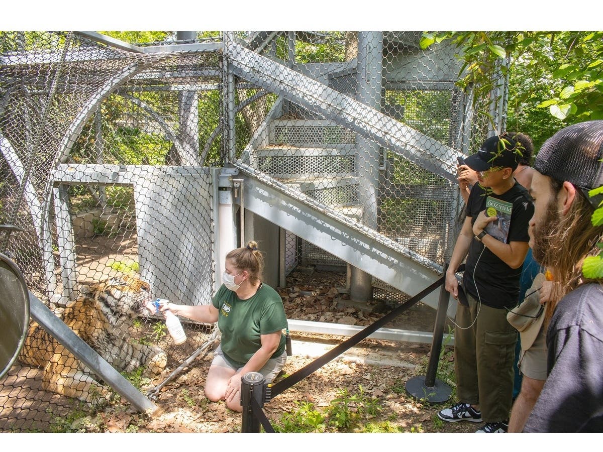 Each tour will be unique, but will include at least four experiences where you will get up and close and personal with the animals and get to learn about their individual personalities from the keepers who care for them.