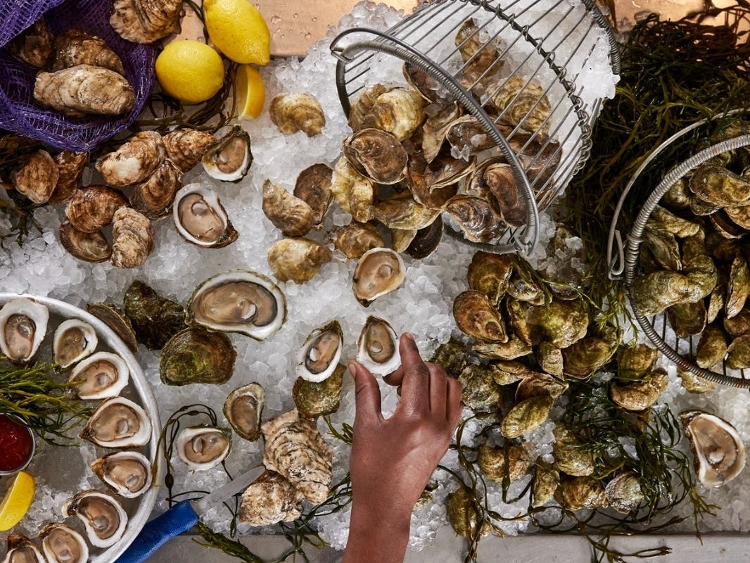 Philadelphia's Oyster House was named a winner in the James Beard Foundation's 2026 America's Classics Awards.
