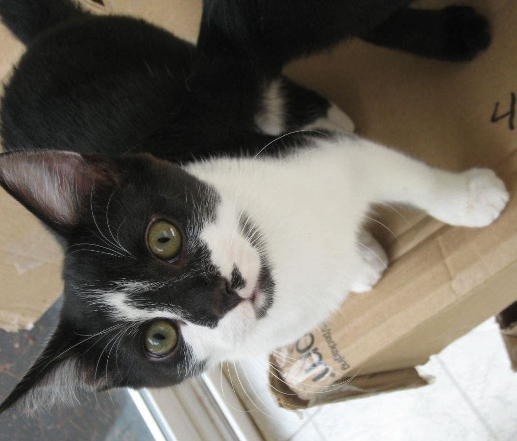 News small post card thumbnail