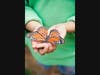 Person holding butterfly