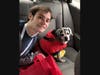 Senior dog helps boy with autism thrive