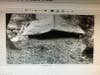 1969 Flood “Silverado Fire Hall”