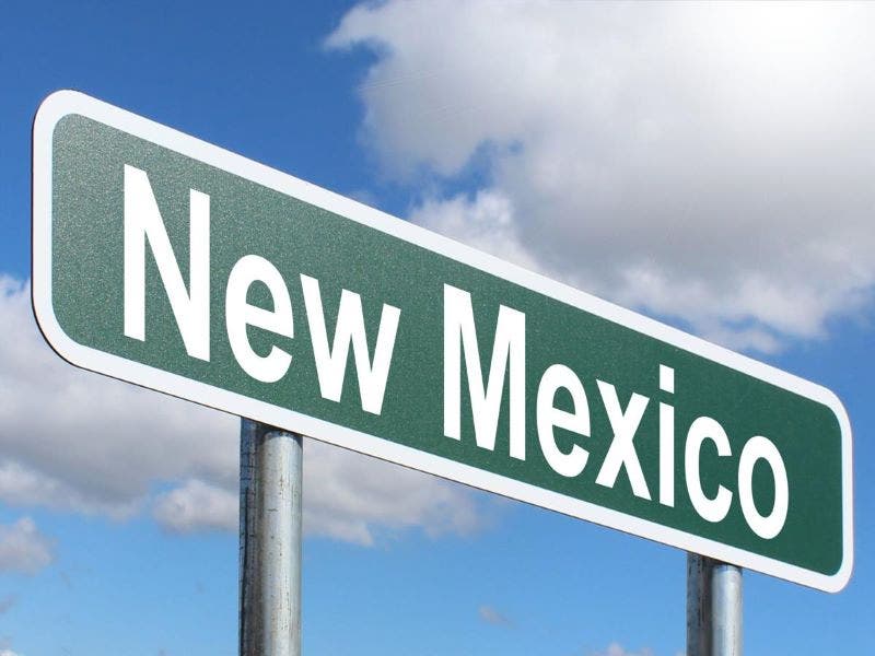 New Mexico Conservation Leaders Congratulate Deb Haaland - Vimarsana News