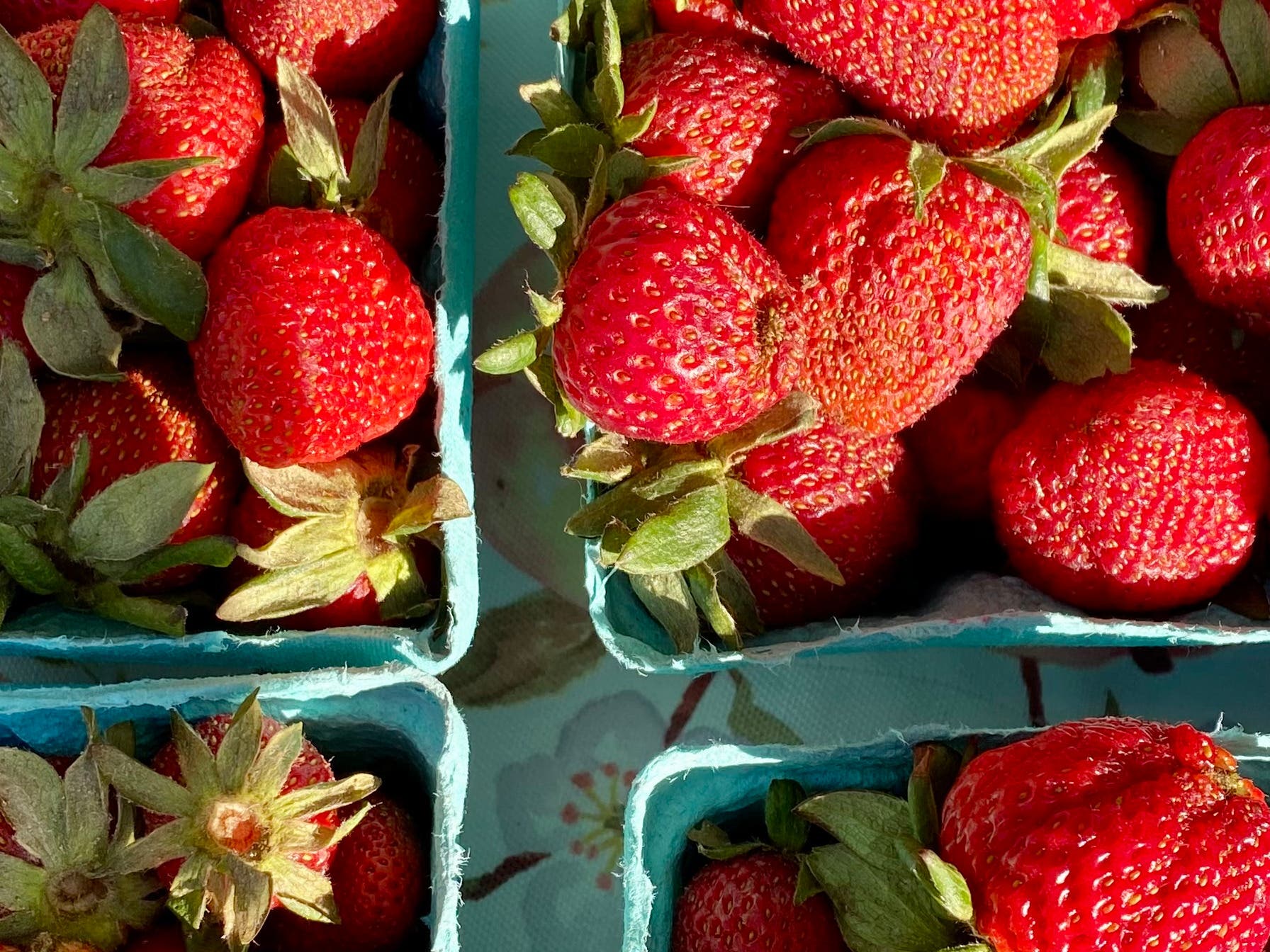 Yardley Farmers Market