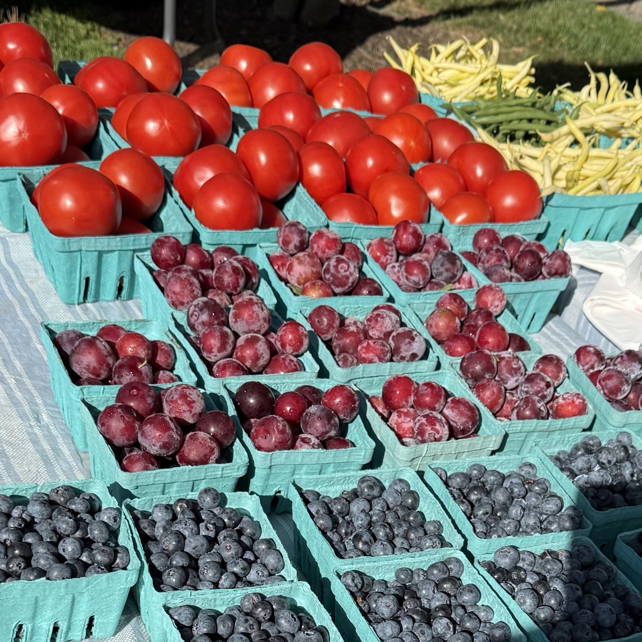 Yardley Farmers Market