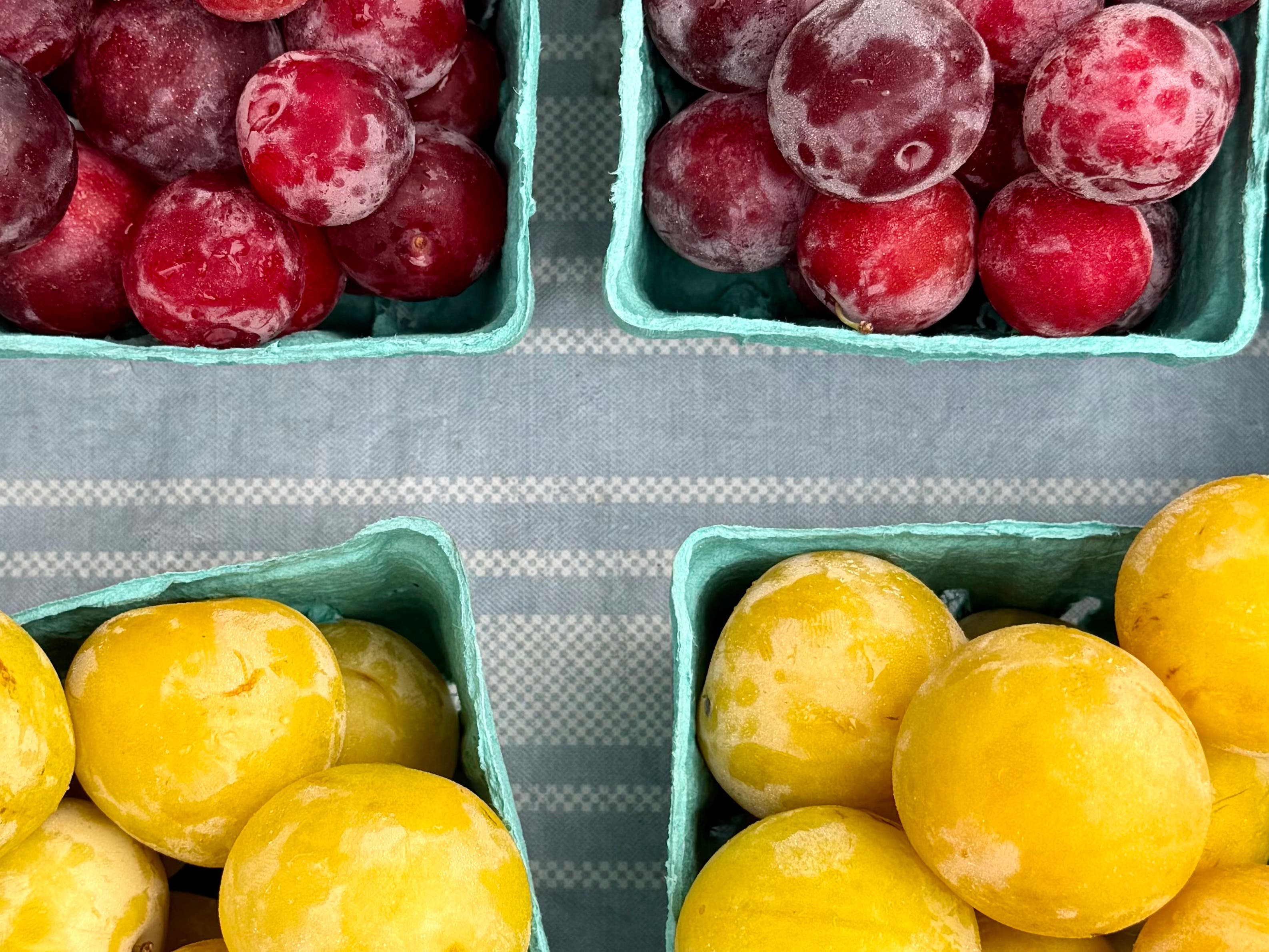 Yardley Farmers' Market