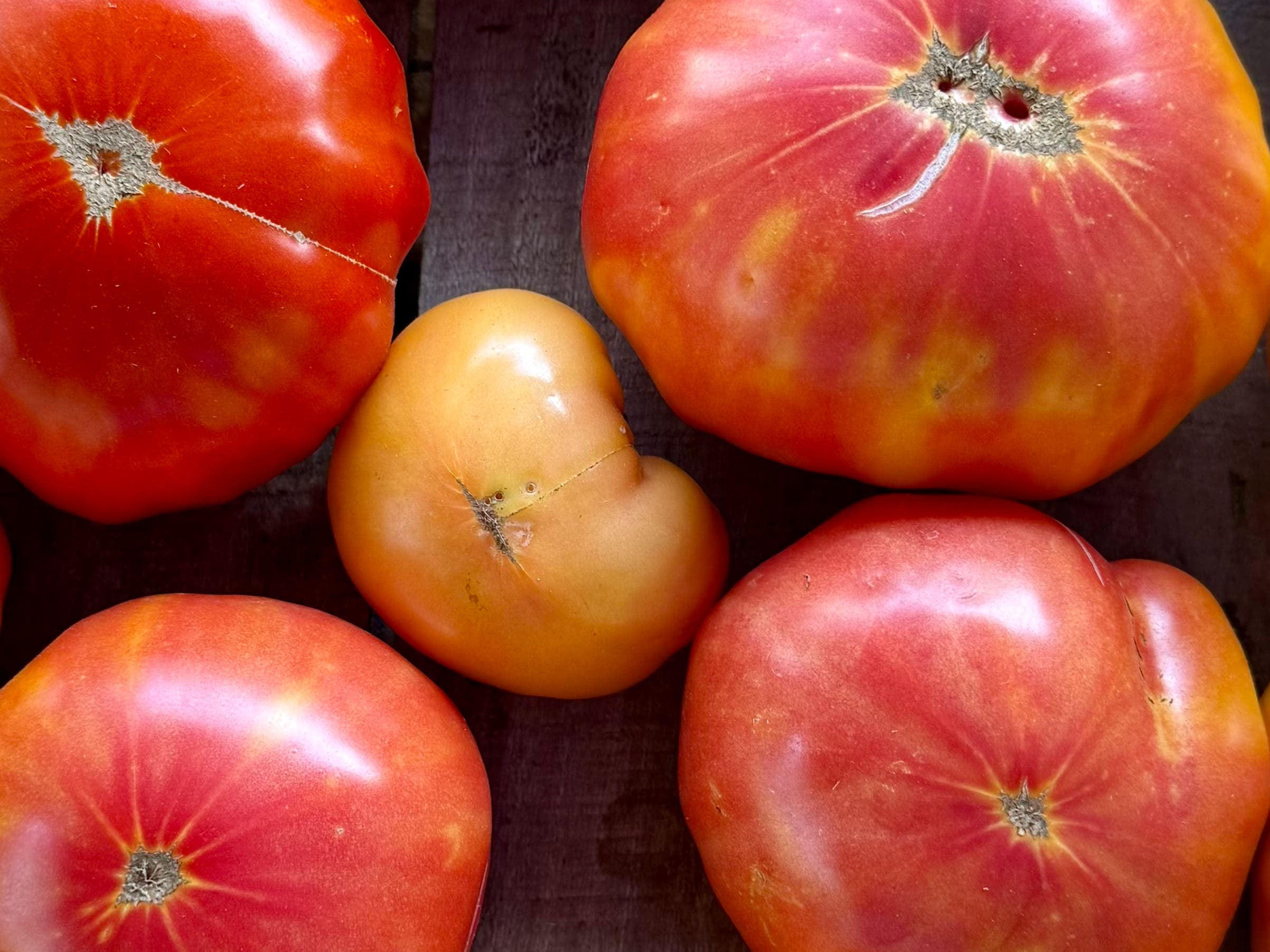 Yardley Farmers Market
