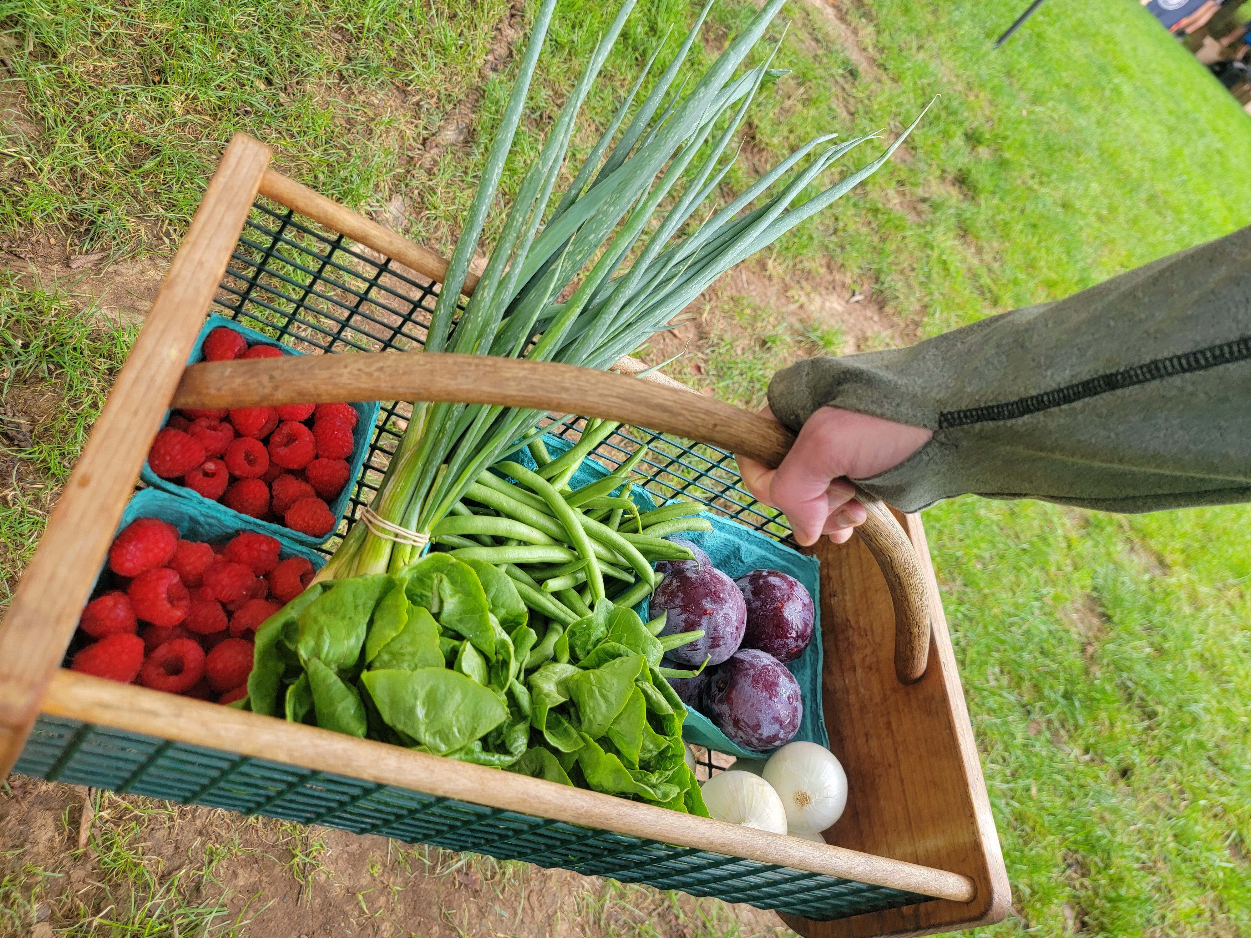 Yardley Farmers Market