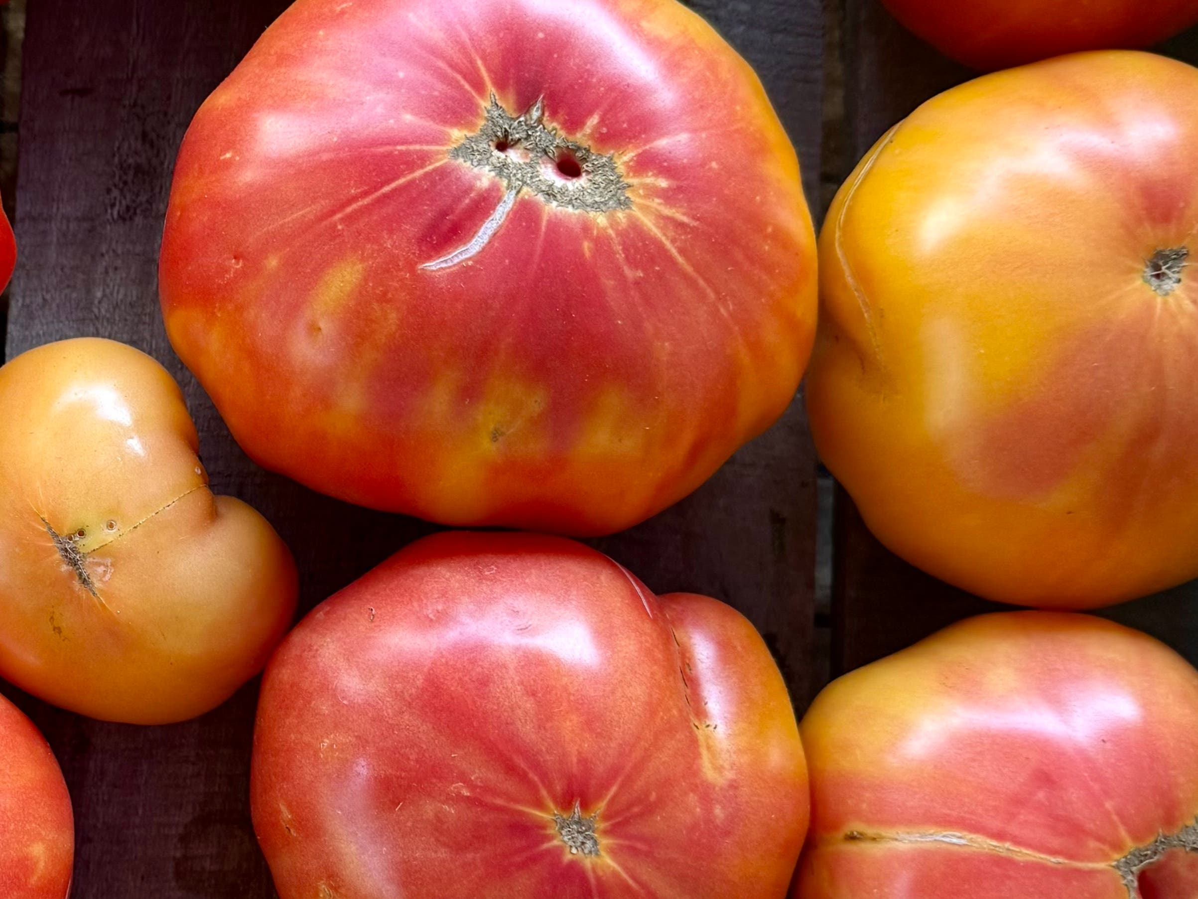 Yardley Farmers Market