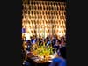 2023 Wellness House Radiance Ball 