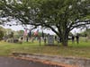 Placing Wreaths at Cemetery