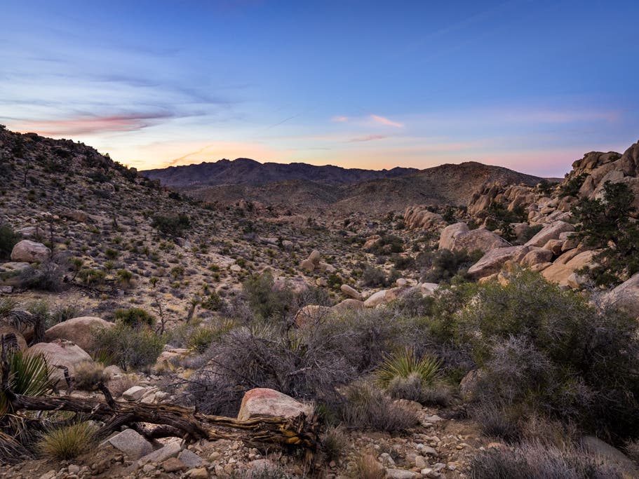 Affordable housing development lot?
