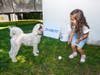 A 3-year-old Long Beach girl was recently part of a unique playdate that brought together kids and dogs alike with holes in their hearts.