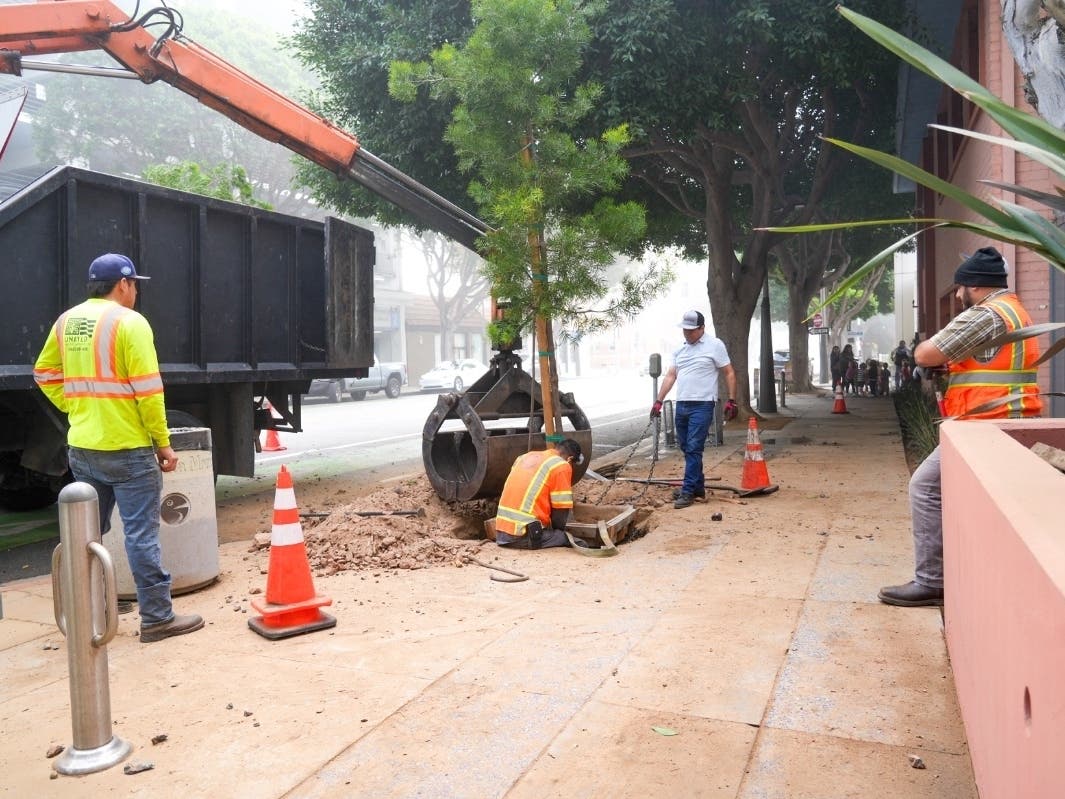 Residents and businesses in Santa Monica will see expanded maintenance and cleaning services as the city reorganizes its public works dept.