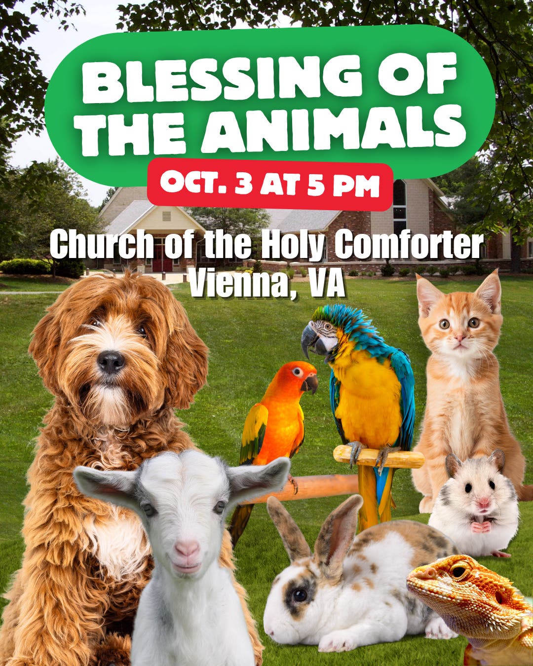 Blessing of the Animals