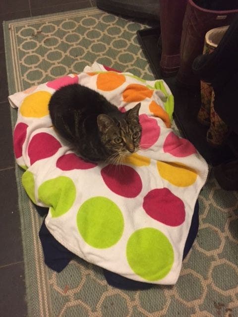 News small post card thumbnail