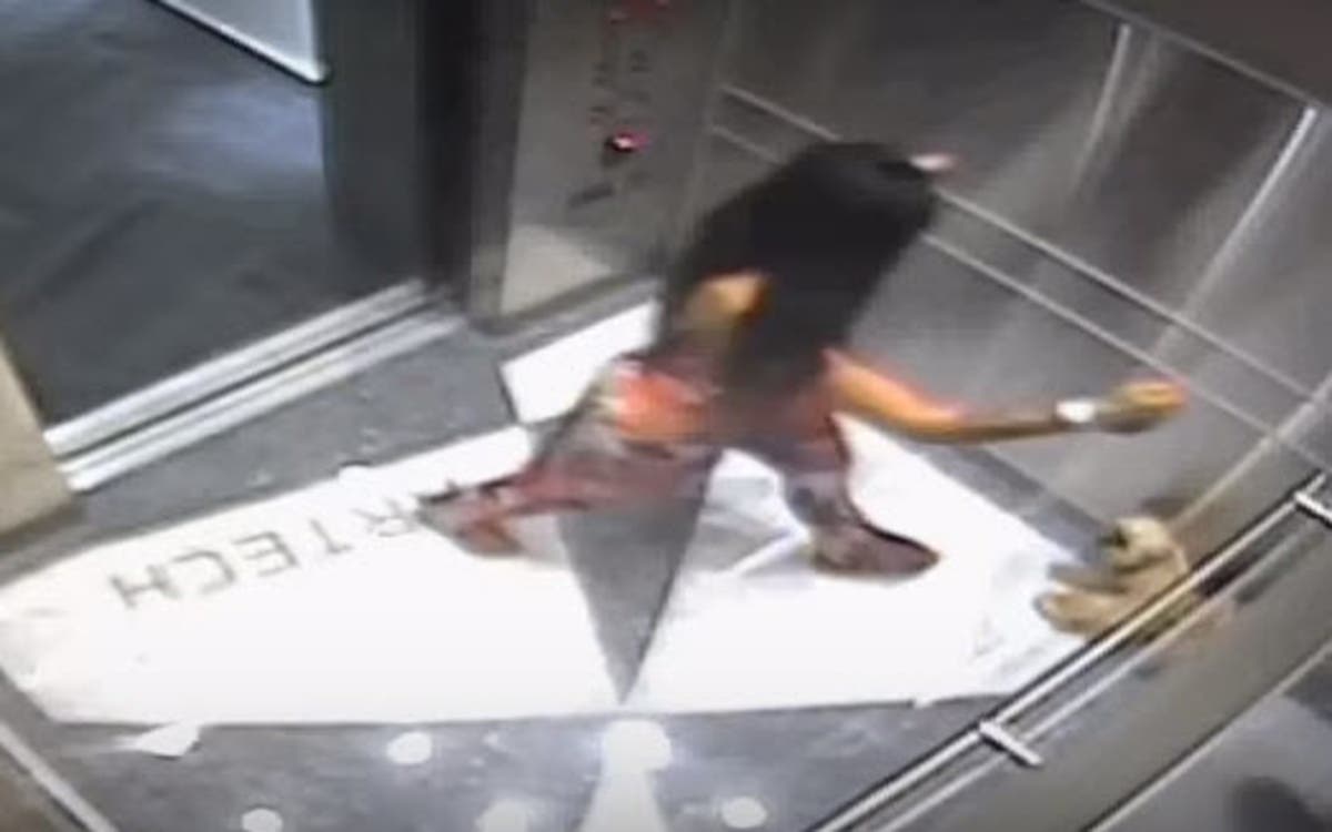 Florida Model Seen Kicking Small Dog In Elevator Gets Probation | Miami ...