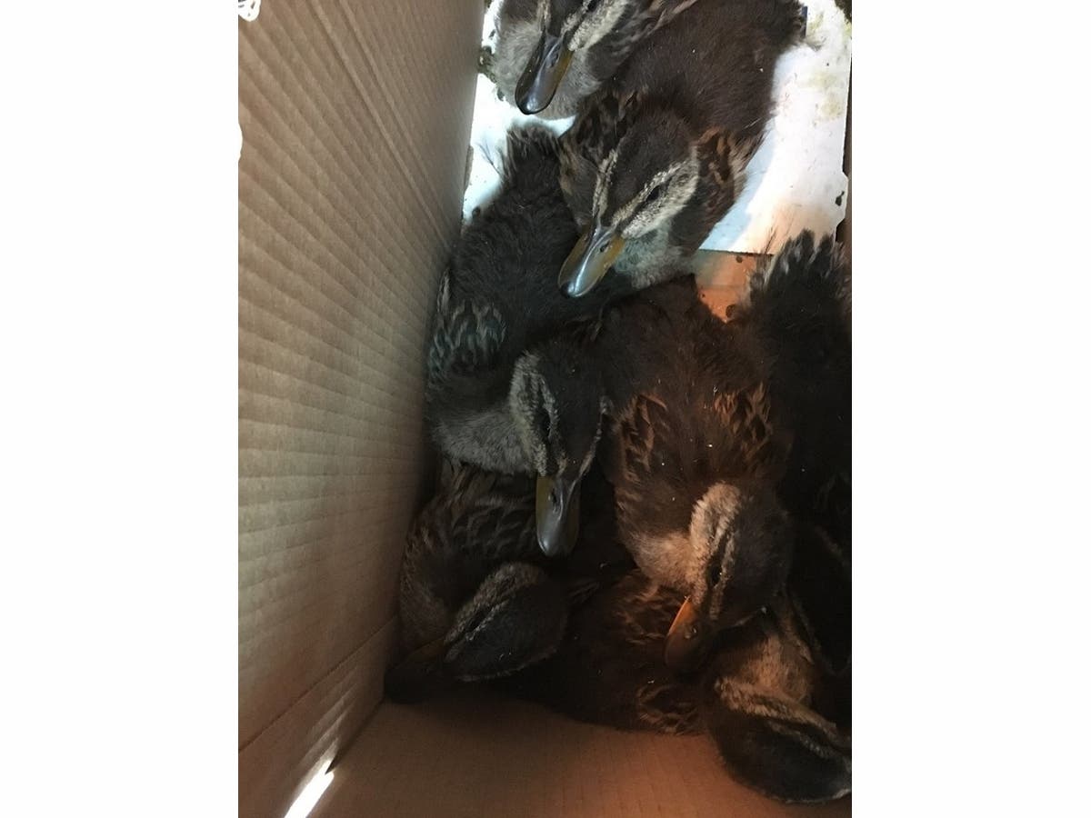 News small post card thumbnail