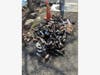 Please, stop throwing your empty beer bottles and cans into Lake Sammamish. 