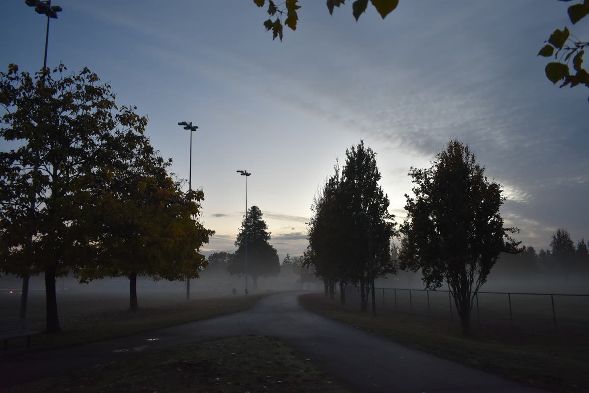 North SeaTac Park, where the King Conservation District did wetland restoration in 2003. 