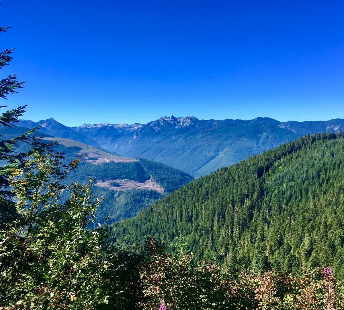 Beckler Peak near Skykomish along US 2. 