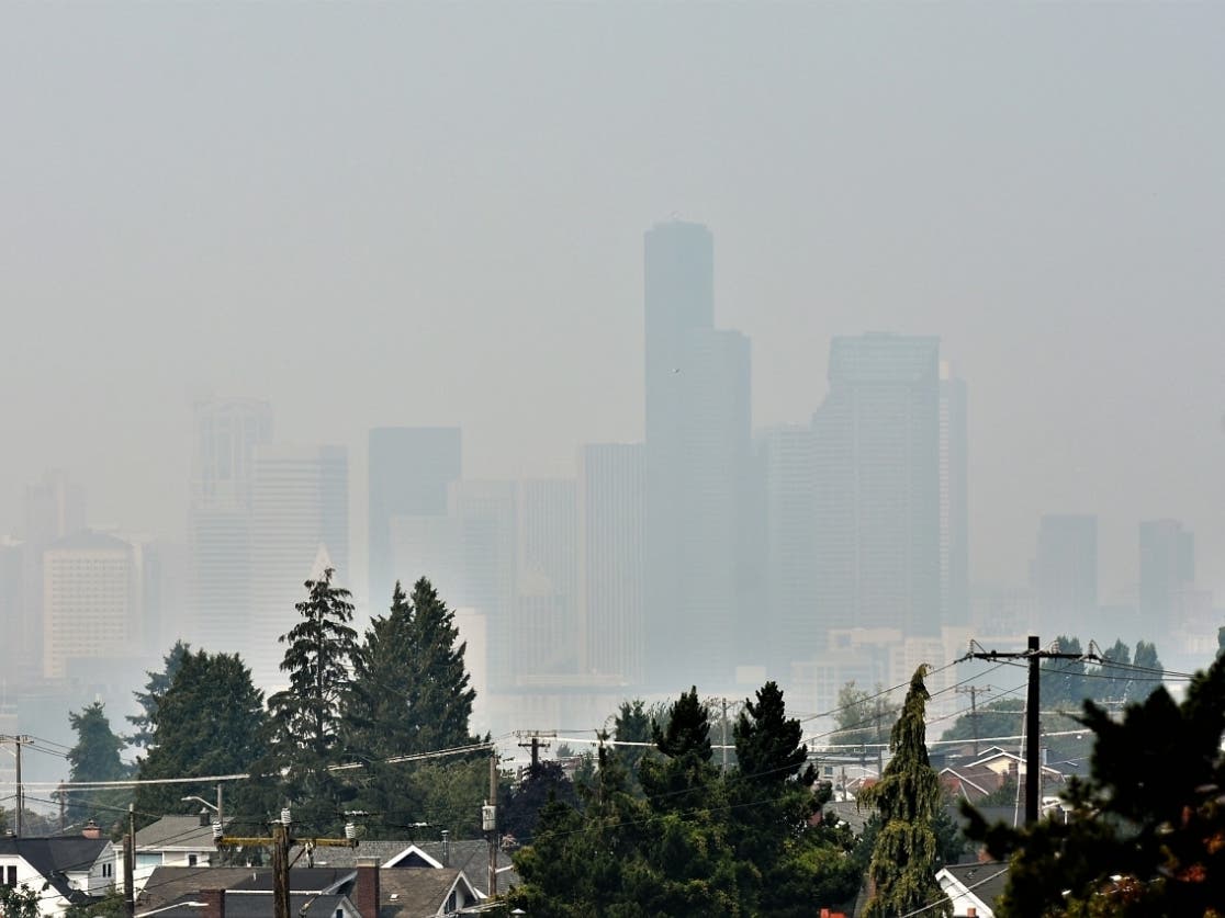 Downtown Seattle as seen from Jefferson Park in August 2018. 