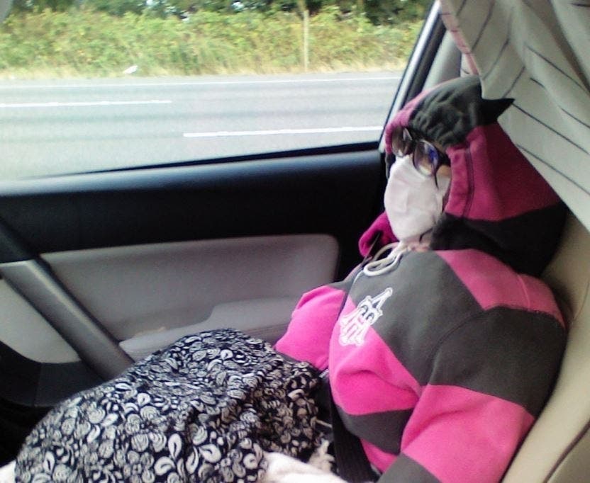 This dummy might cost you more than $500 under Washington's new HOV law. 