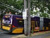 A 7 bus using the lane at Rainier and Cloverdale. 