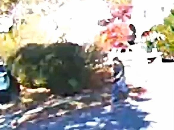 A video released by Natick police shows the burglary suspected walking away from a home. 