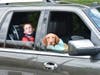 The parades were meant to be a celebration of Natick students of all ages. 