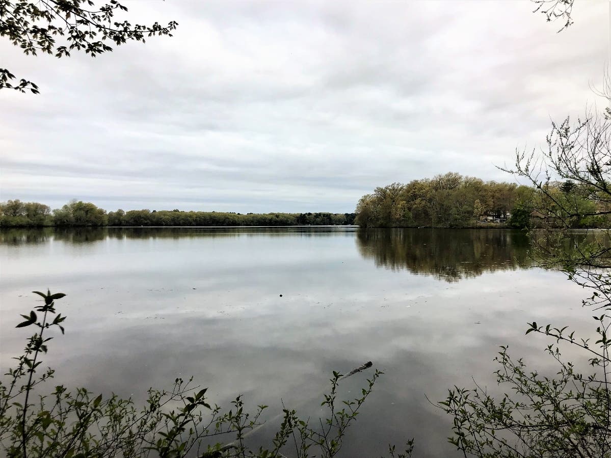 The view from the Pegan Cove Trail at Tony Anniballi Memorial Park in Natick. 