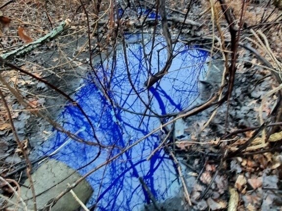 The nontoxic ink leaked into a stream along Southbridge Street. 