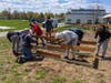 Local Boy Scouts removed old garden boxes at Wayland Middle School and built new ones with materials donated by Lynch Landscape & Tree Service. 