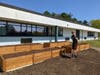 Local Boy Scouts removed old garden boxes at Wayland Middle School and built new ones with materials donated by Lynch Landscape & Tree Service. 