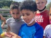 Hudson campers releasing butterflies they raised since they were caterpillars at the Assabet River Nature Trail