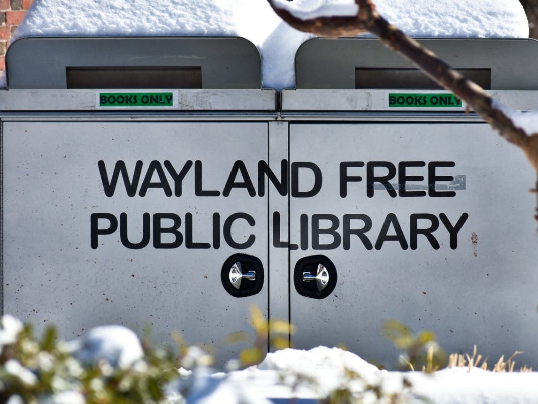 See what's going on at the Wayland Free Public Library this week. 