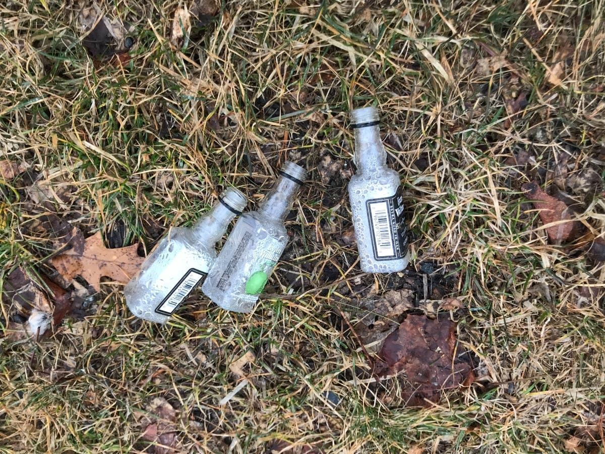 An array of nips discarded recently at Institute Park in Worcester. A group that opposes banning nips is sponsoring a litter cleanup in Worcester this weekend. 