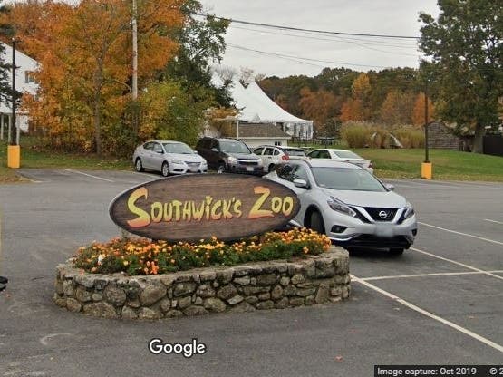 Nineteen people were stuck on a ride at Southwick's Zoo on Friday, according to reports. 