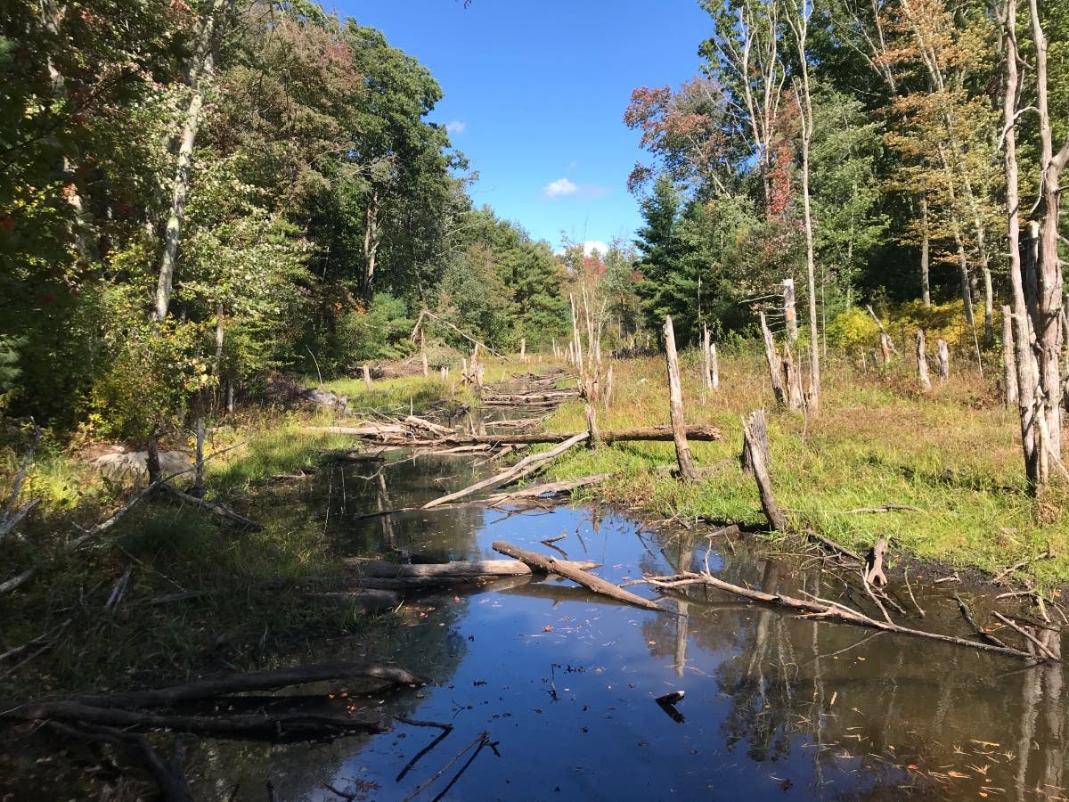 During drought, local towns and cities make decisions about water use restrictions.