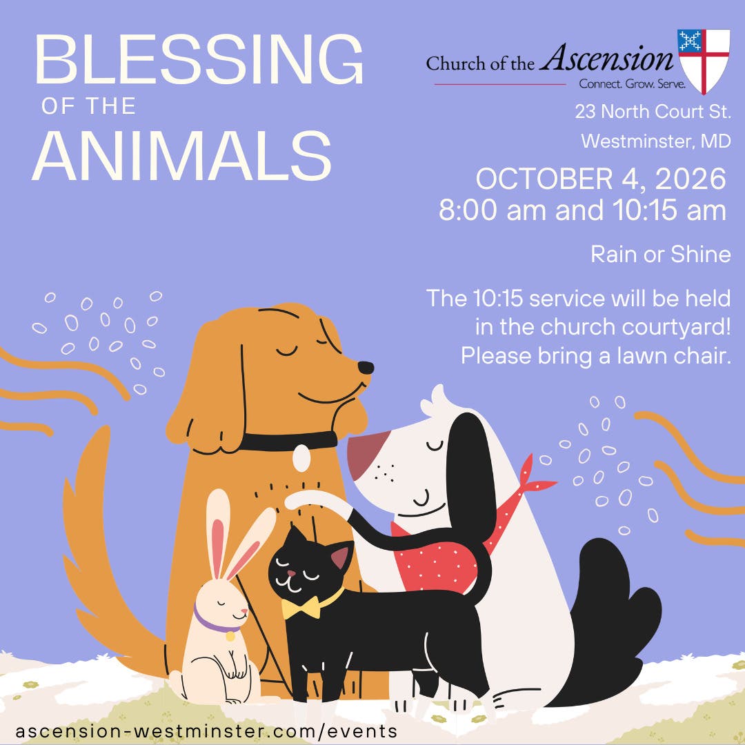 Blessing of the Animals