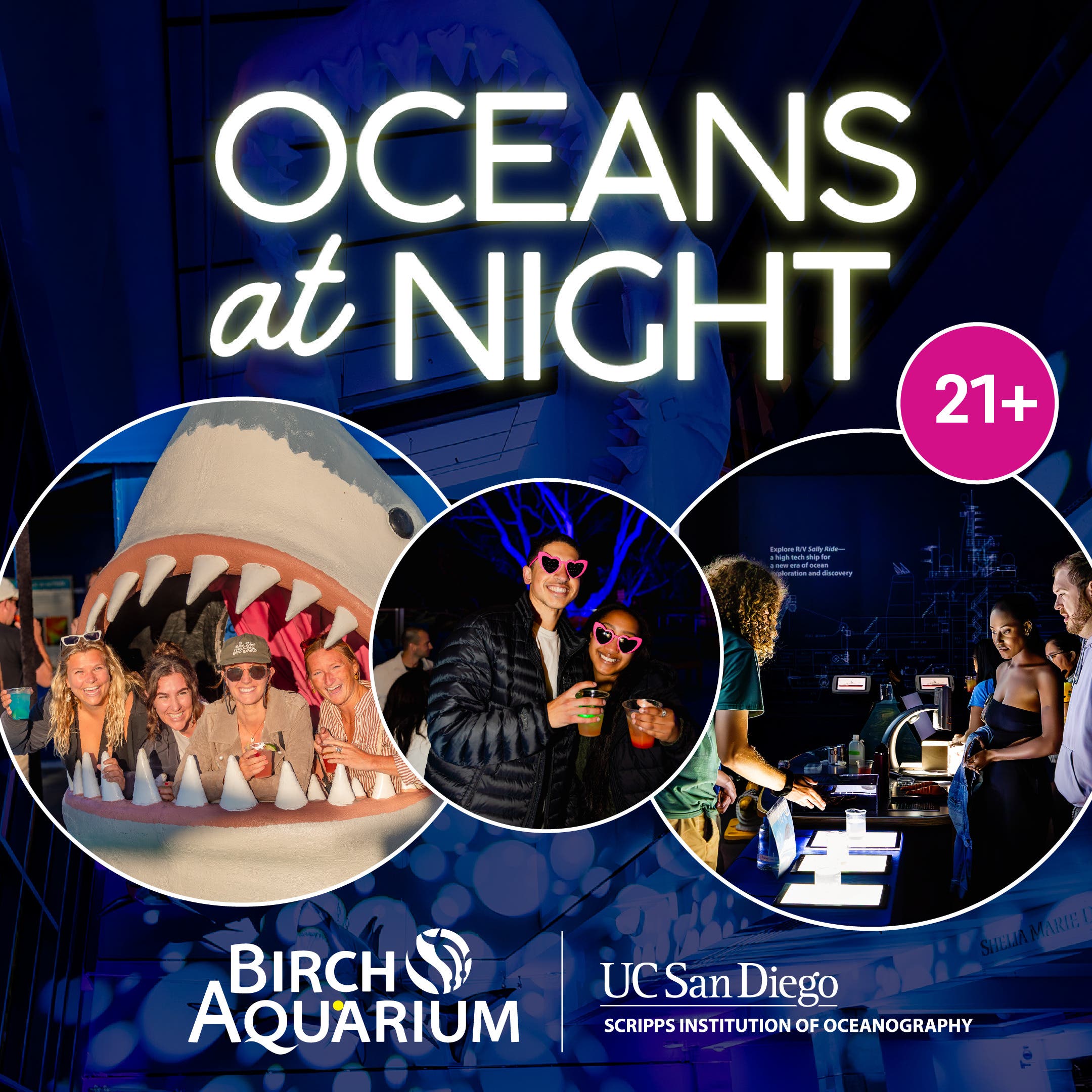 Oceans at Night: Sharks