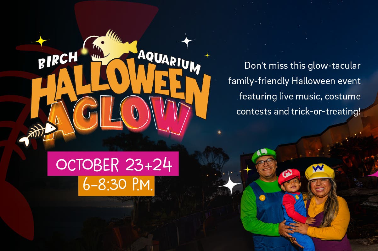 Halloween Aglow