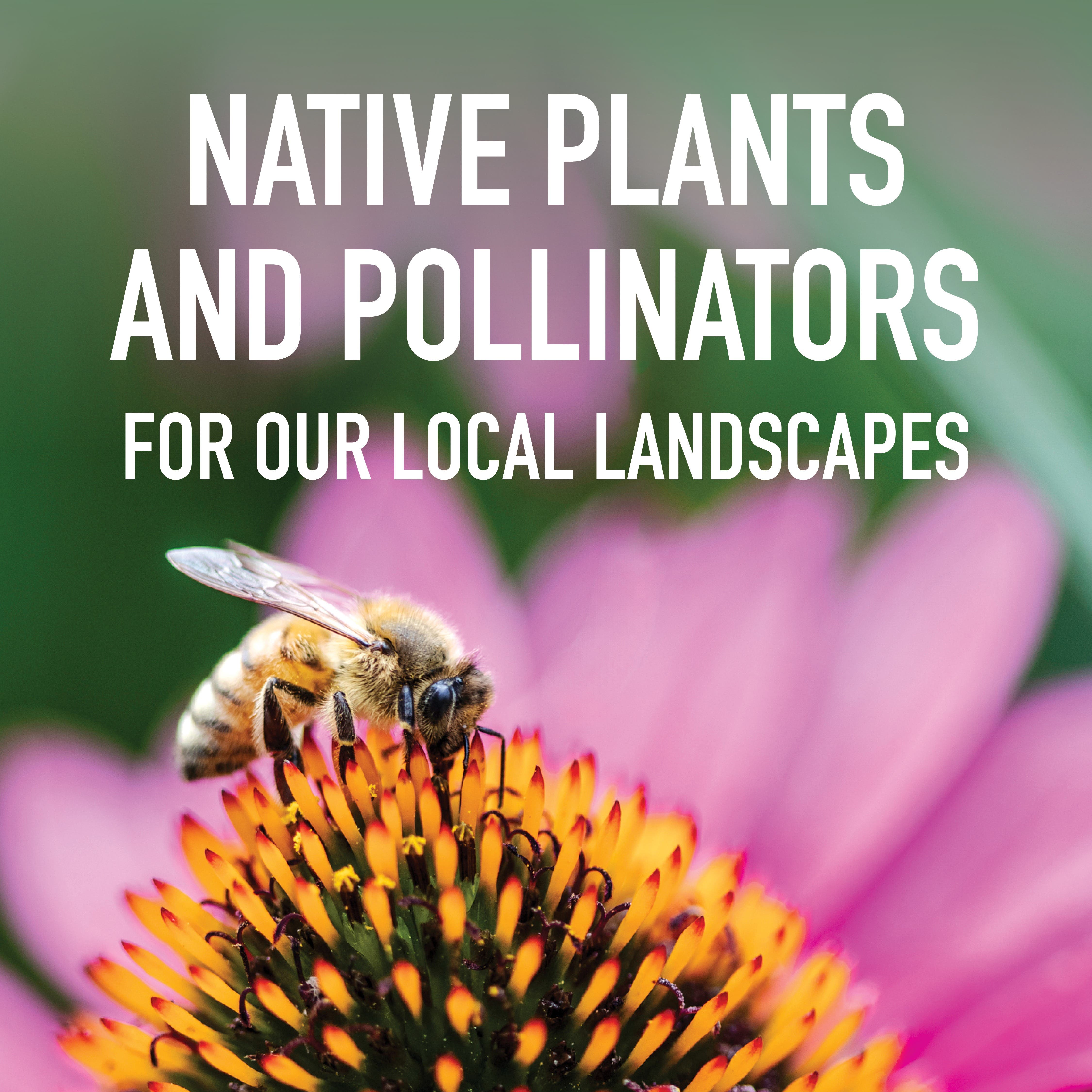 Native Plants and Pollinators for Our Local Landscapes