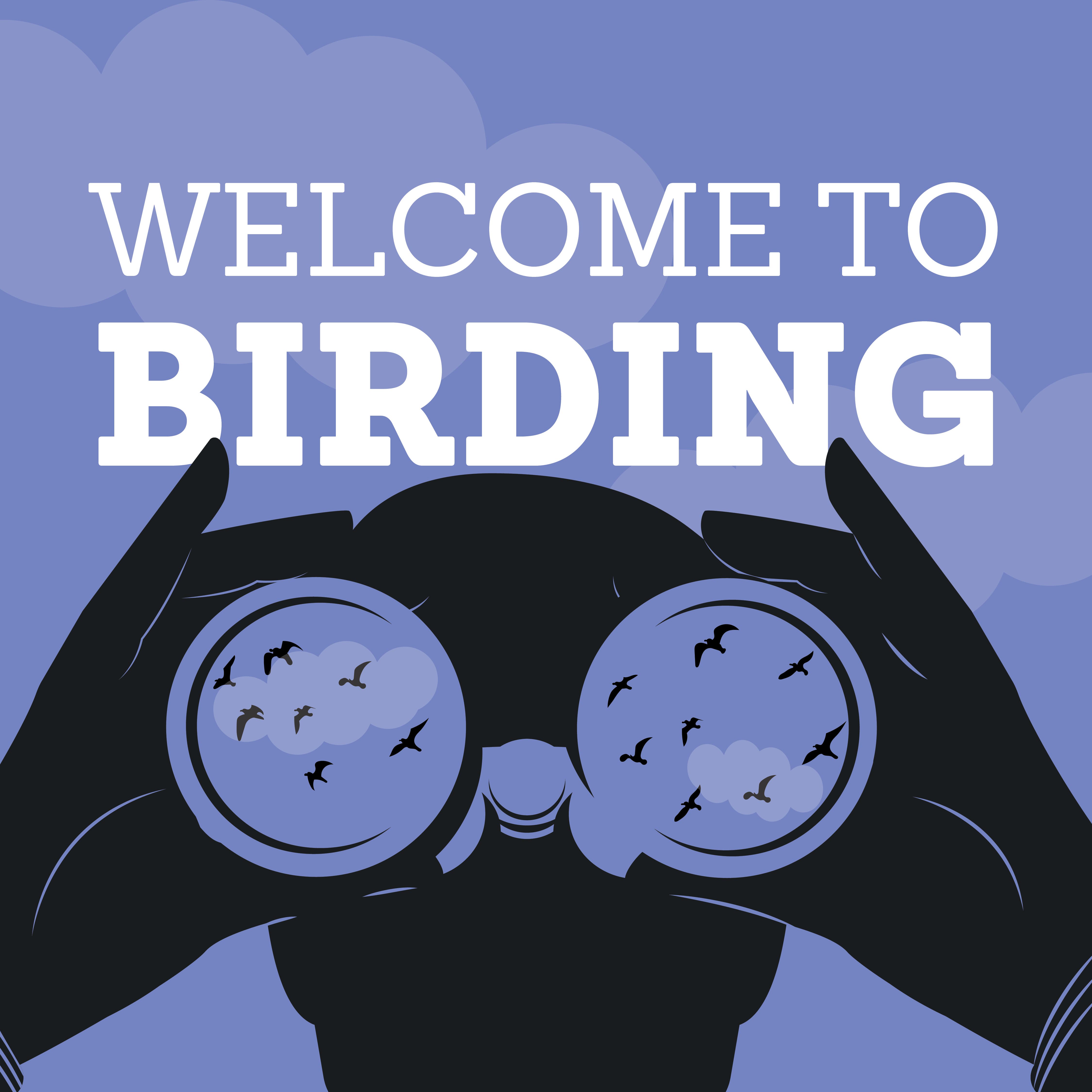 Welcome to Birding!