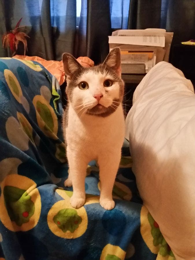 News small post card thumbnail