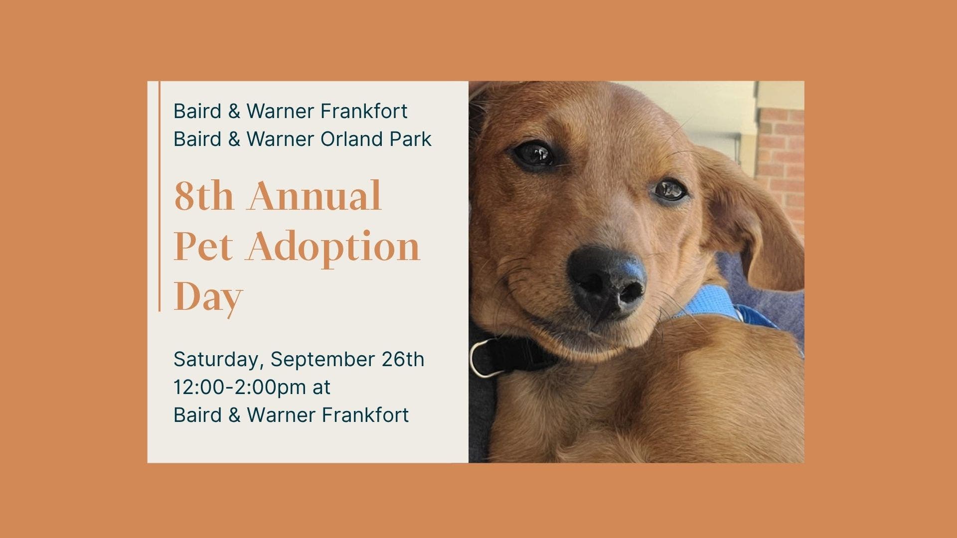 Baird & Warner's 8th Annual Pet Adoption Day